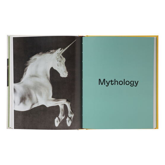 Horses in Art